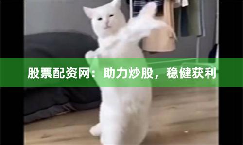 股票配资网：助力炒股，稳健获利