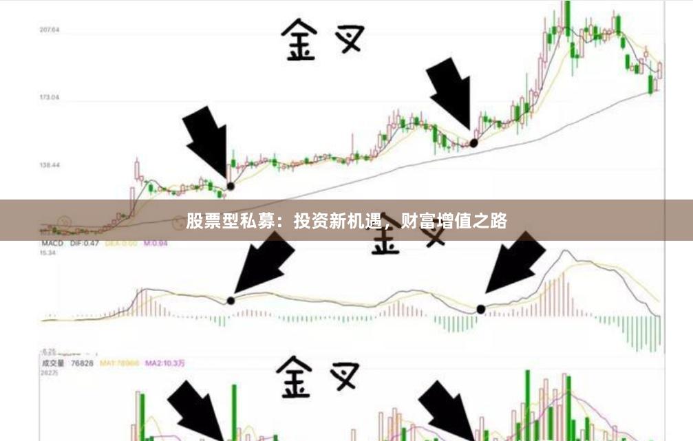 股票型私募：投资新机遇，财富增值之路