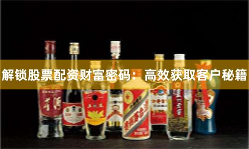 解锁股票配资财富密码:高效获取客户秘籍