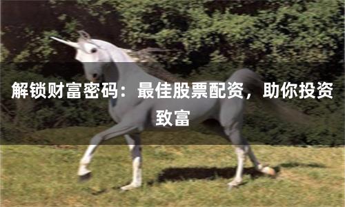 解锁财富密码:最佳股票配资,助你投资致富